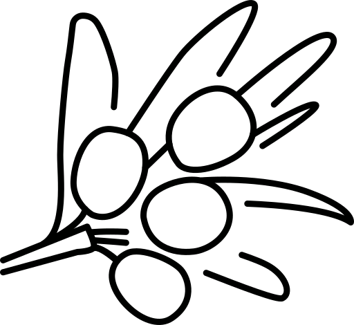 Ikona prírodnej ovocnej kvality